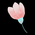 Whimsical Blue and Pink Petal Design